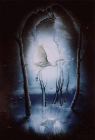 Heliographie, Gerahmt 60x80cm, 300 Ex. Lmtd.