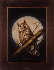 Heliographie, Gerahmt 50x60cm, 250 Ex. Lmtd.